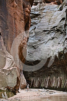 Hiker at Zion Narrows