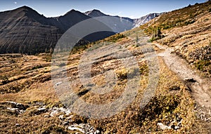 Hikers adventuring in the Canadian Rockies during the fall photo