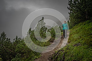 Hikers in the austrian alps walk on mountain hiking trails in the woods around the lakes