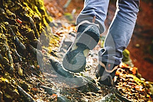 Hikers boots on forest trail. Autumn hiking.