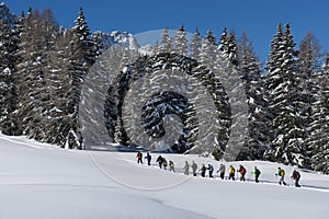 Hikers in the Dolomites