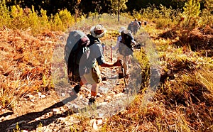 Hikers in the early morning sun