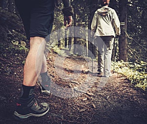 Hikers in a forest