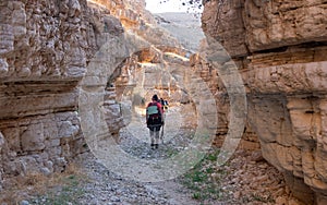 Hikers on a hiking trail inside a dry canyon in a remote desert region.