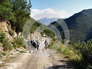 Hikers on a Mountain Track