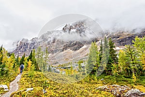 Hikers on Opabin Trail at Lake O`Hara in the Canadian Rockies