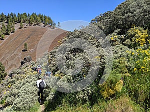 Hikers on a path in the mountains of Gran Canaria in Spain