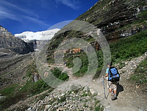 Hikers on Plain of Six Glaciers Trail