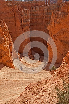 Hikers on the Switchbacks on the Navajo Trail 2483