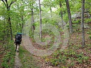 Hikers on the trail in nature hiking backpacking