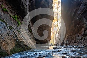 Hikers and trekkers in The Narrows trail on The Virgin River in Zion National Park