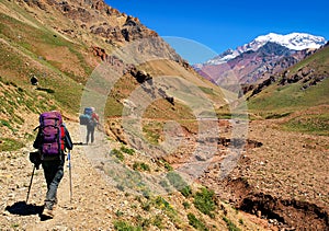 Hikers trekking in Andes in South America