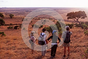 Hikers viewing the Serengeti Plain, Tanzania