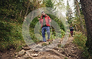 Hikers walking down a trail in the forest