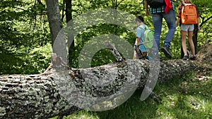 Hikers walking on fallen tree log in the forest