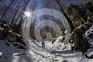 Hikers walking in the snow