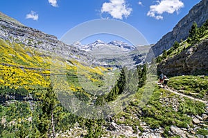 Hikers on the way to the Cola de Caballo waterfall in Ordesa and Monte Perdido National park