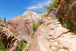 Hikers in Zion