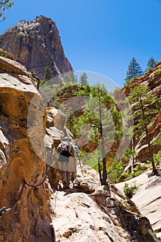 Hikers in Zion