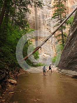 Hikers in Zion