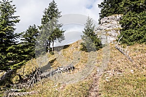 Hikig trail on steep mountain meadow with trees, limestone rocks and blue sky bellow Predna Poludnica hill in Nizke Tatry