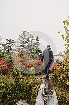 Hiking Acadia National Park in Fall