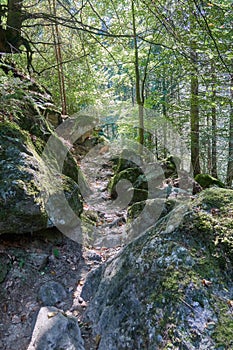 Hiking along the canyon Gorges Mysterieuses de Tete Noire in Trient, region of Martigny in Valais, Swiss Alps, Switzerland