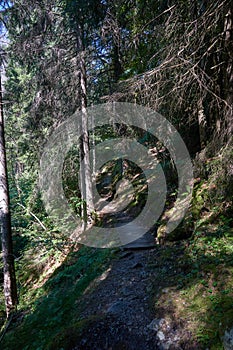 Hiking along the canyon Gorges Mysterieuses de Tete Noire in Trient, region of Martigny in Valais, Swiss Alps, Switzerland