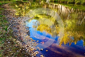 Hiking along the East Verde River and viewing the amazing colors  Payson Arizona