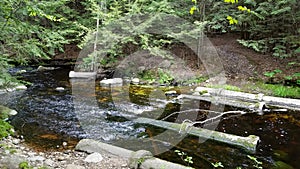 Wooded stream in Rhode Island