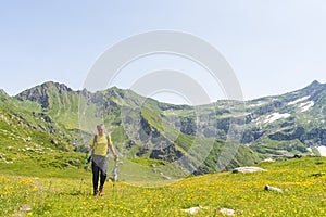 Hiking in the Alps in idyllic environment