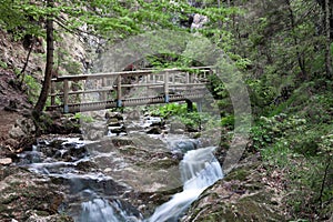 Hiking area, Janosik holes, valley consisting of few narrow gorges located in nature reserve Rozsutec, with numerous waterfalls