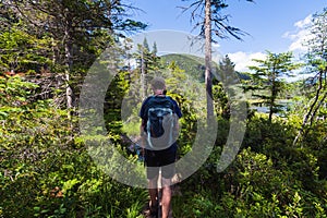 Hiking around Lonesome Lake, New Hampshire in the Summer