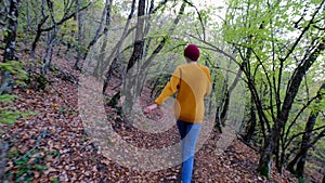 Hiking asian woman walk in autumn forest