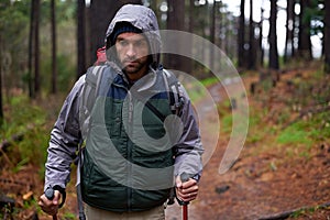 Hiking, backpack and man in forest for survival, shelter and dangerous conditions. Nature, winter and male person with