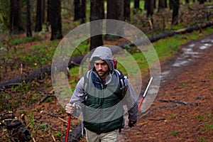 Hiking, backpack and man on path in forest for survival, shelter or dangerous conditions. Nature, winter and male person