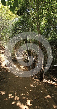 Hiking in the Banias Nature Reserve, Israel