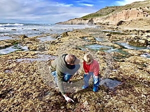 Father and son exploring Cabrillo Tide pools San Diego