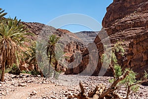 Hiking through the beautiful landscape of the Draa valley near Tizgui village in Morocco