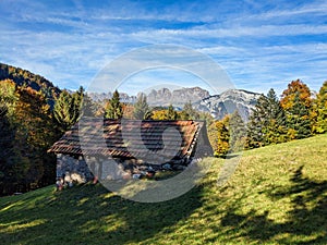 hiking in the beautiful Weisstannen valley. Fall colors in the woods. Alp hut with a view of the mountains