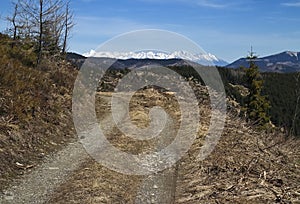 Hiking on the Benuska hill - on background view on the High Tatras.