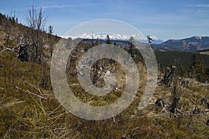 Hiking on the Benuska hill - on background view on the High Tatras.