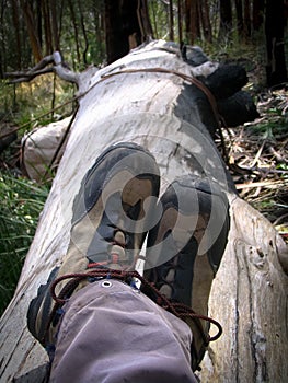 Hiking Boots