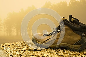 Hiking boots