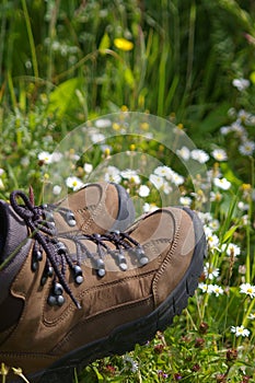 Hiking boots in field of daisys