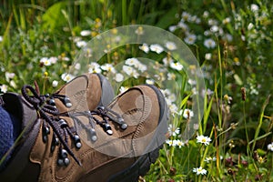 Hiking boots in field of daisys