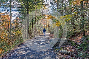 Hiking in brilliant fall foliage in the Catskill Mountain Foothills on a brilliant fall day