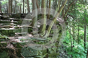 Hiking the Bruce Trail View