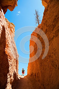 Hiking in Bryce Canyon