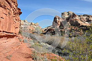 Hiking calf creek falls in escalante utah